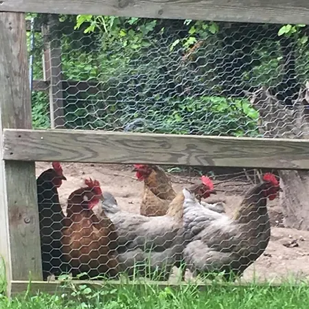 Διαμέρισμα Abendrot *